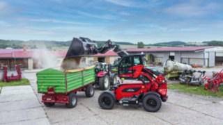 Roter Linde YH60 Teleskoplader rechts bei der Weizenverladung auf einen grünen Traktoranhänger 